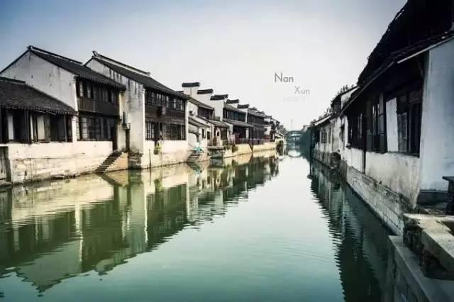 美人鱼的聚会